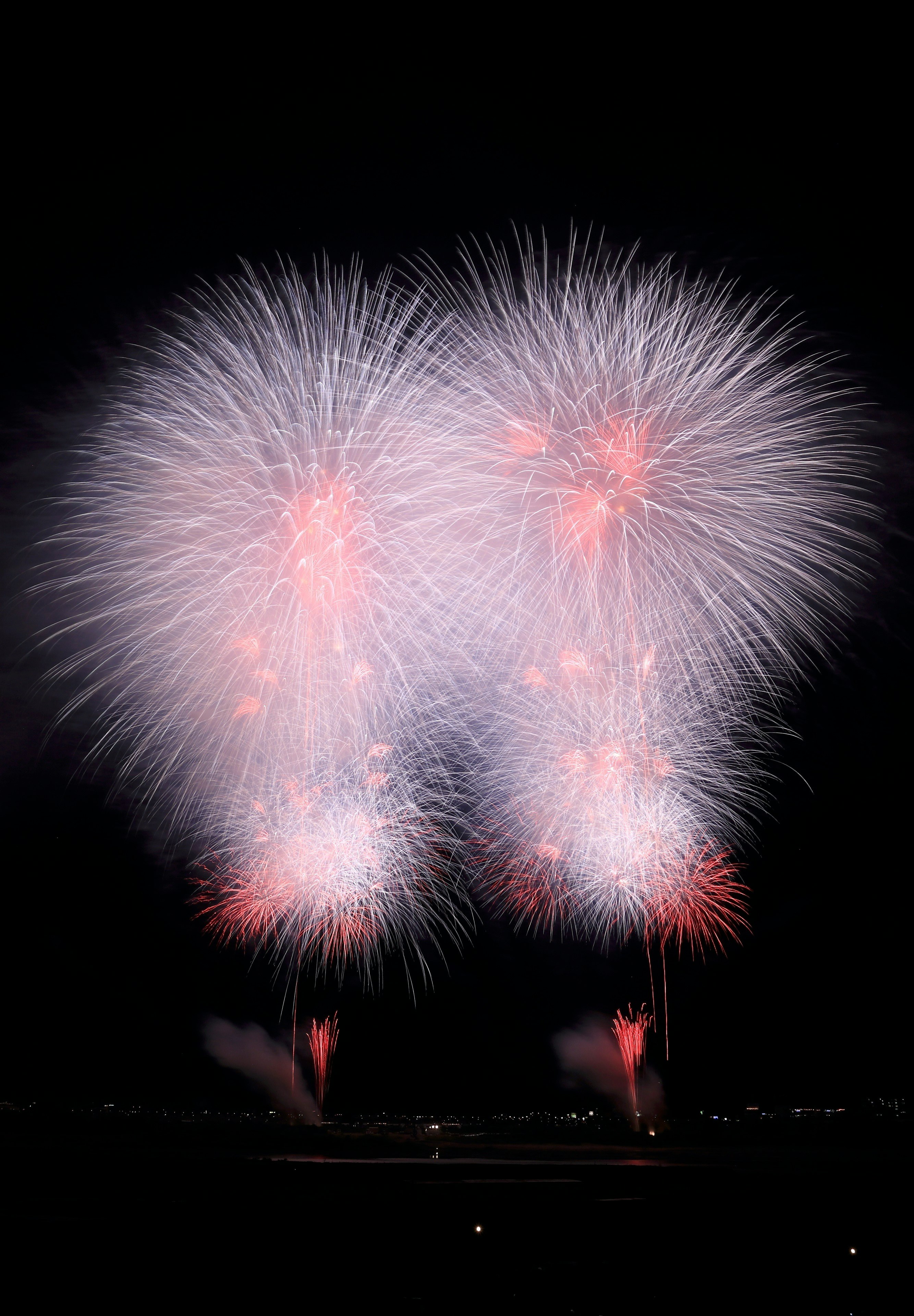 white and red fireworks display